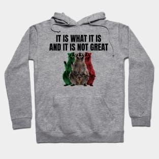 It Is What It Is And It Is Not Great Hoodie